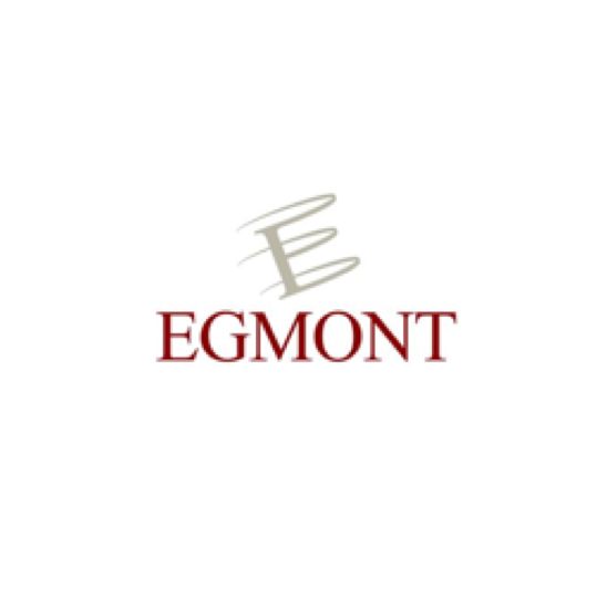 Egmont Royal Institute for International Relations IEP